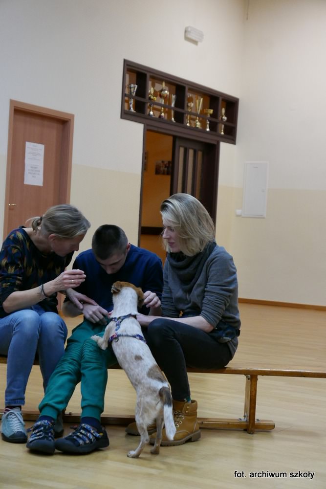 Pies wskakuje uczniowi na kolana.