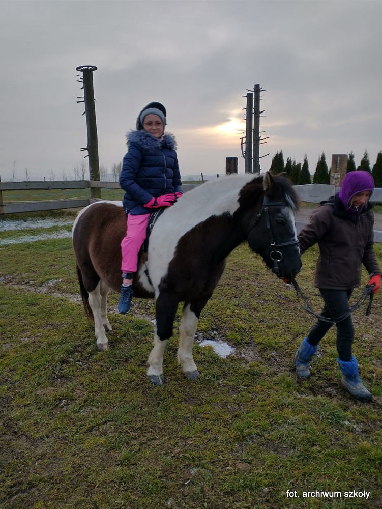 Dziewczynka na grzbiecie konia.