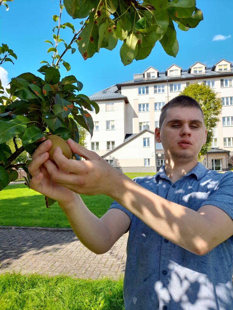 wychowanek ogląda owoce na drzewie.