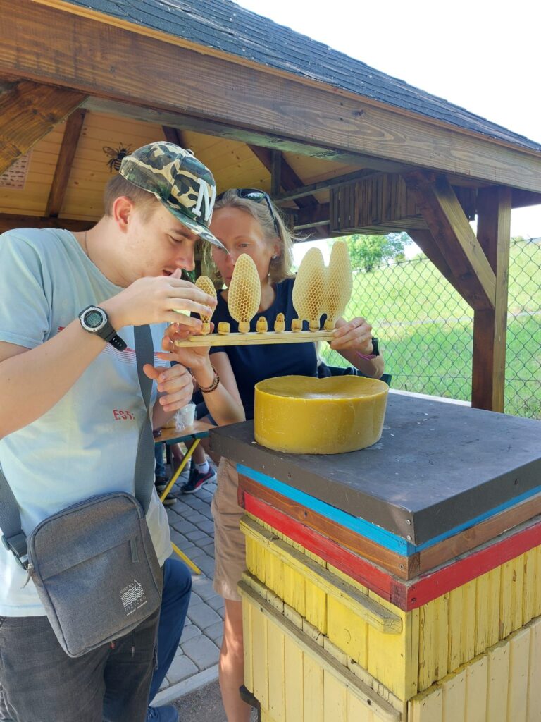 Młody mężczyzna i kobieta przyglądają się z bliska plastrom woskowym umieszczonym na drewnianym stojaku.