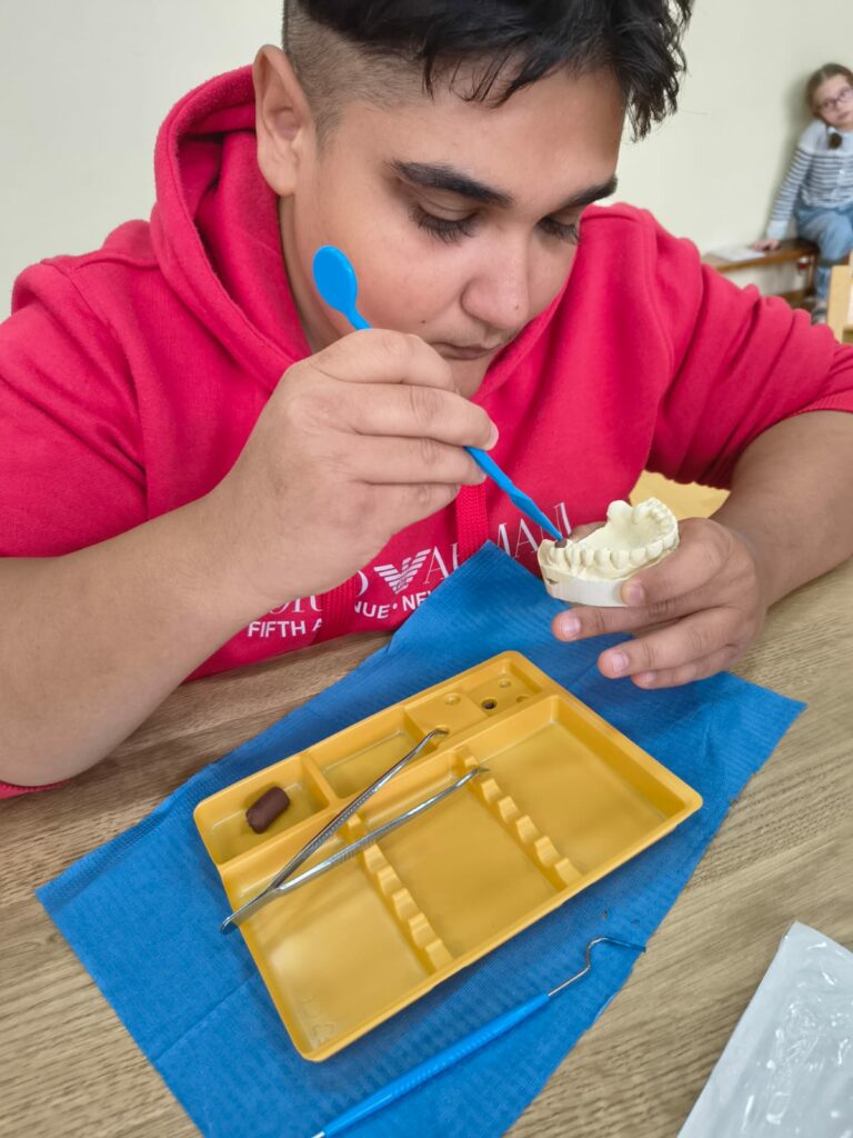 Młody mężczyzna w czerwonej bluzie trzyma w ręce model szczęki i zalepia ubytek w zębie niebieskim narzędziem dentystycznym.