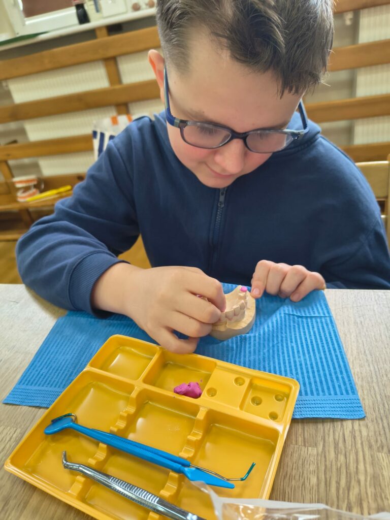 Chłopiec w okularach uczy się na modelu wypełniać ubytki w zębach.