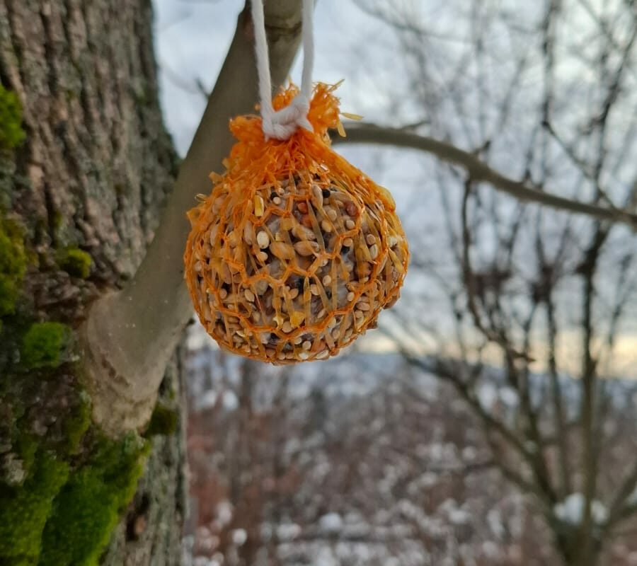 Wsparcie dla ptaków