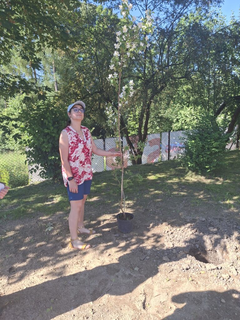 Kobieta stoi na trawniku i trzyma doniczkę z drzewkiem do posadzenia.
